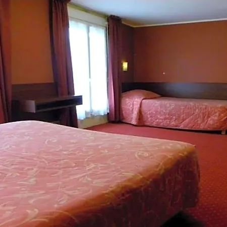 Camelia International-3